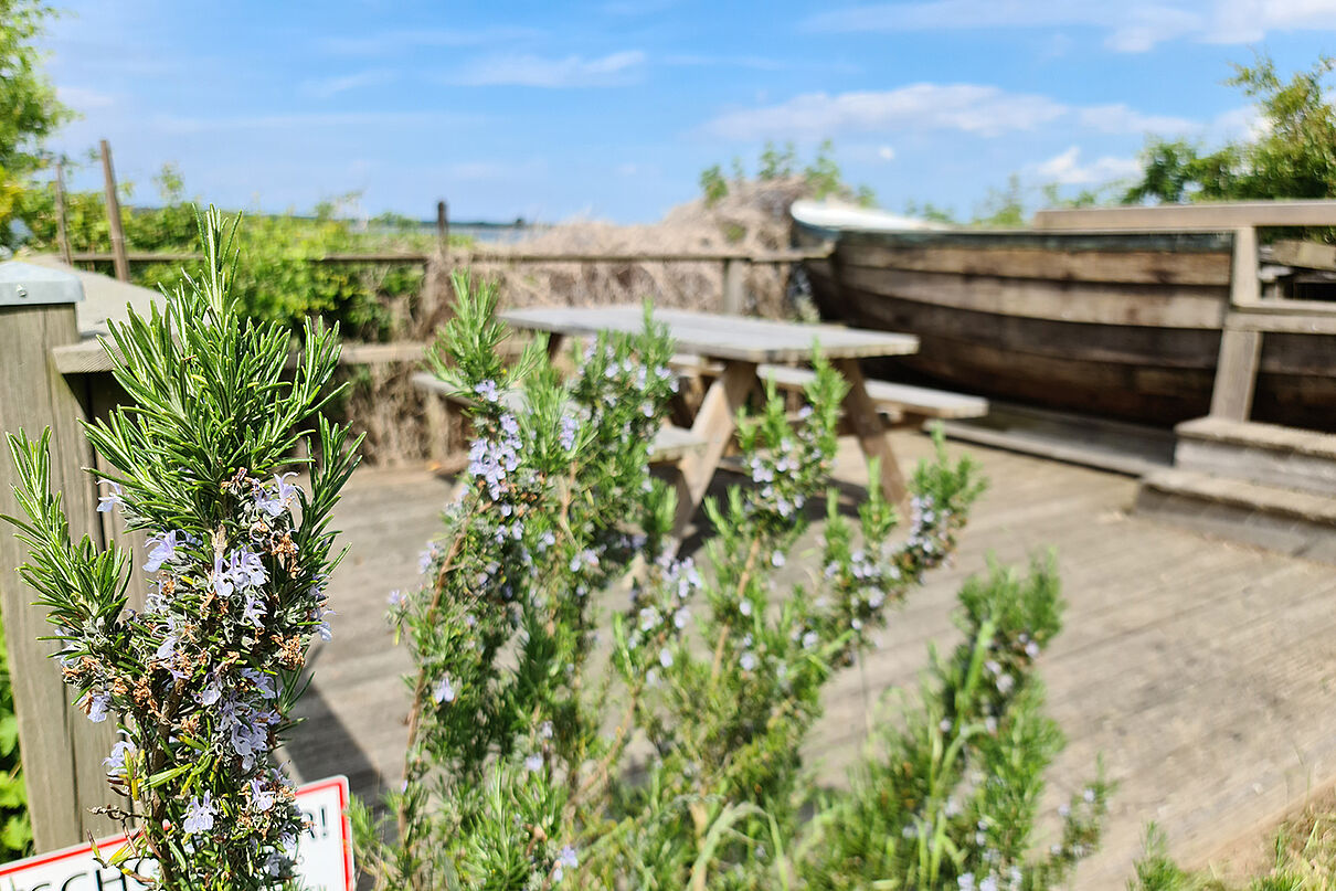 20220525_142941_small