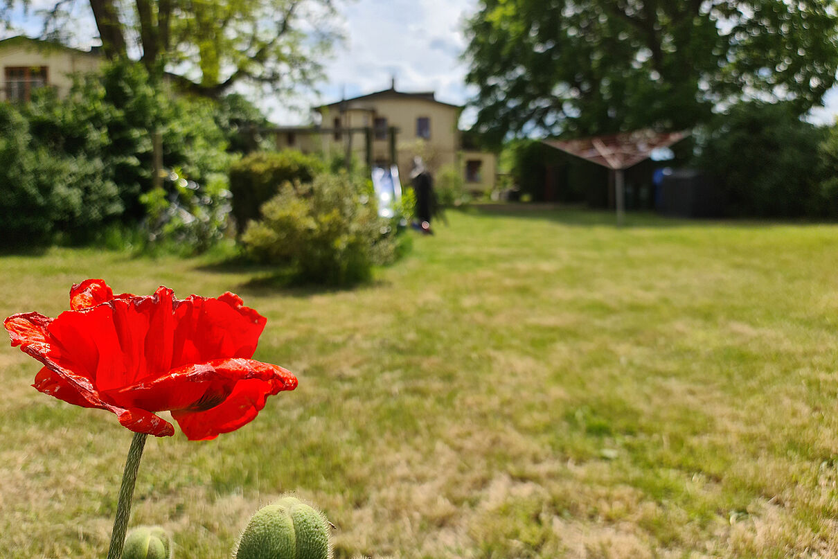 20220525_143700_small