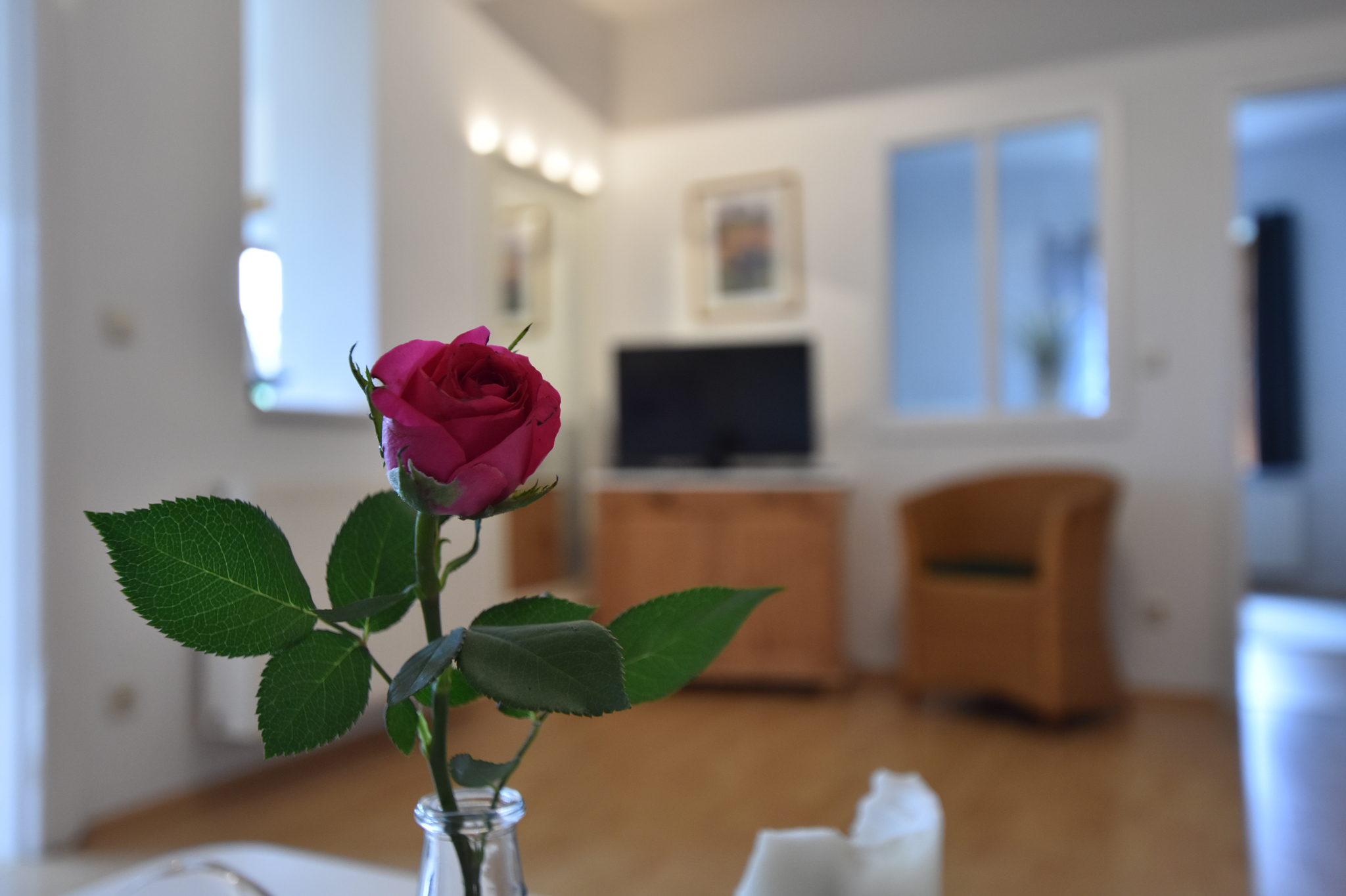 Villa Seeheim - Appartement II - Wohnbereich